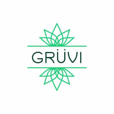 Gruvi Logo